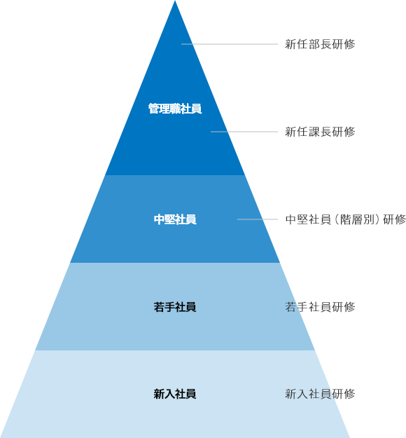 階層別研修の図